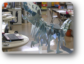 平面レーザーで作った恐竜の模型